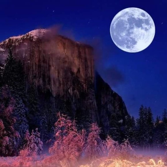 Make me an offer - Picture 5 of 7